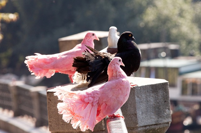 吸引目标观 吸引目标观