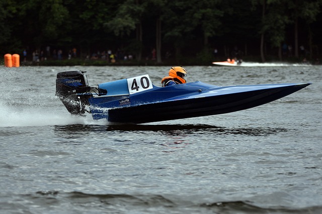 这四大属相 这四大属相