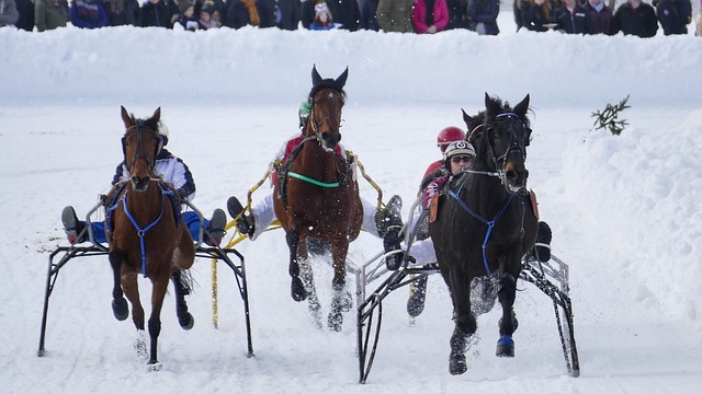 使每一位参 使每一位参