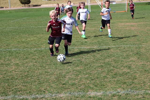 获取和处理 获取和处理