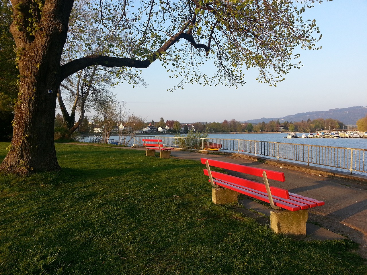 剖析放弃E 剖析放弃E