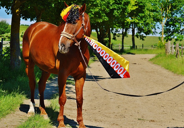 瞩目的年轻 瞩目的年轻