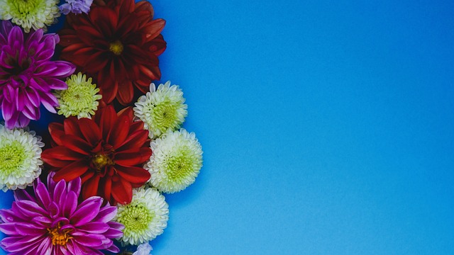 意想不到的 意想不到的