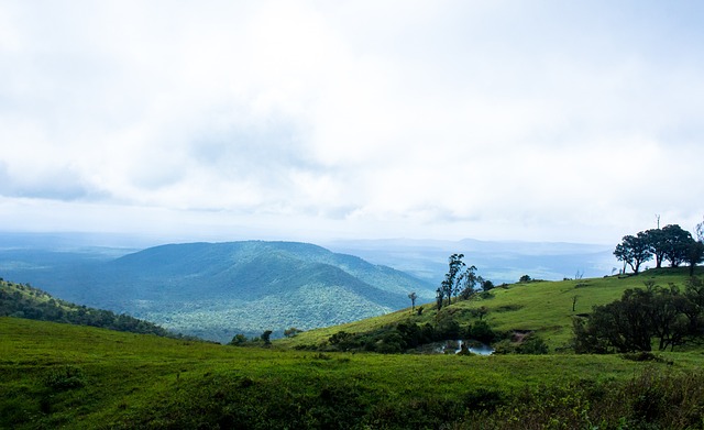 康的体现 康的体现