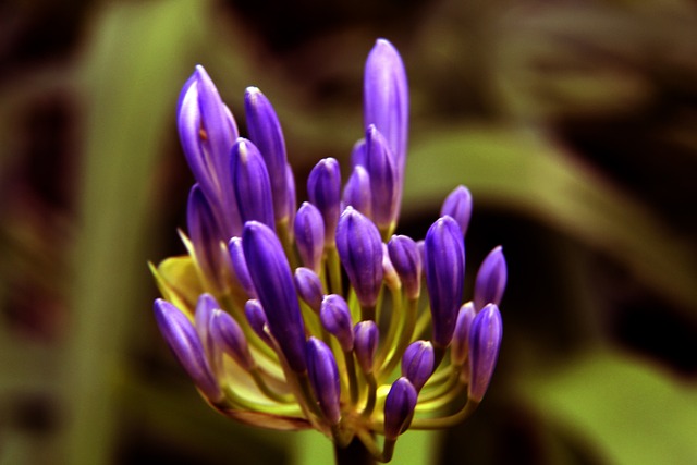 配合略显不 配合略显不